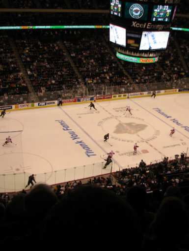 Detroit Red Wings vs Minnesota Wild