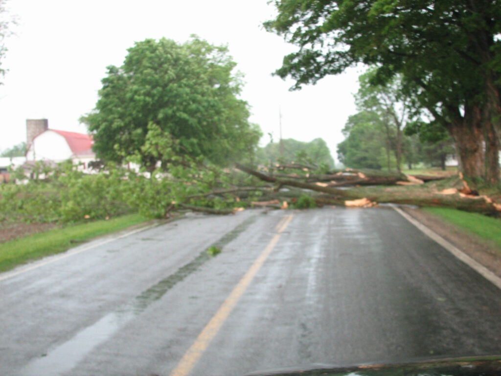 Storm Damage