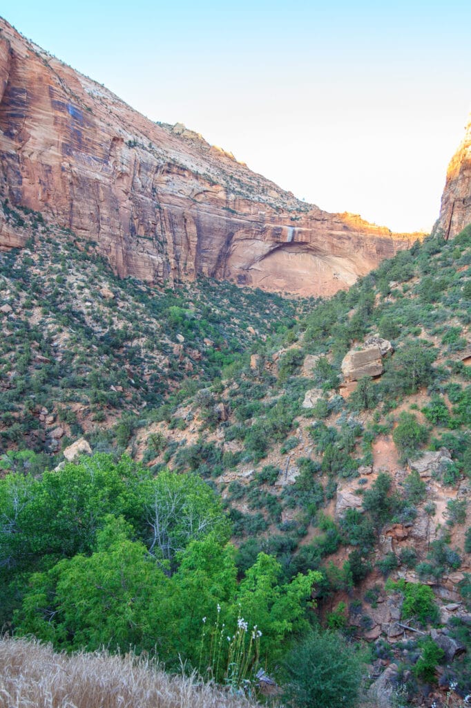 Zion National Park in Springdale Utah