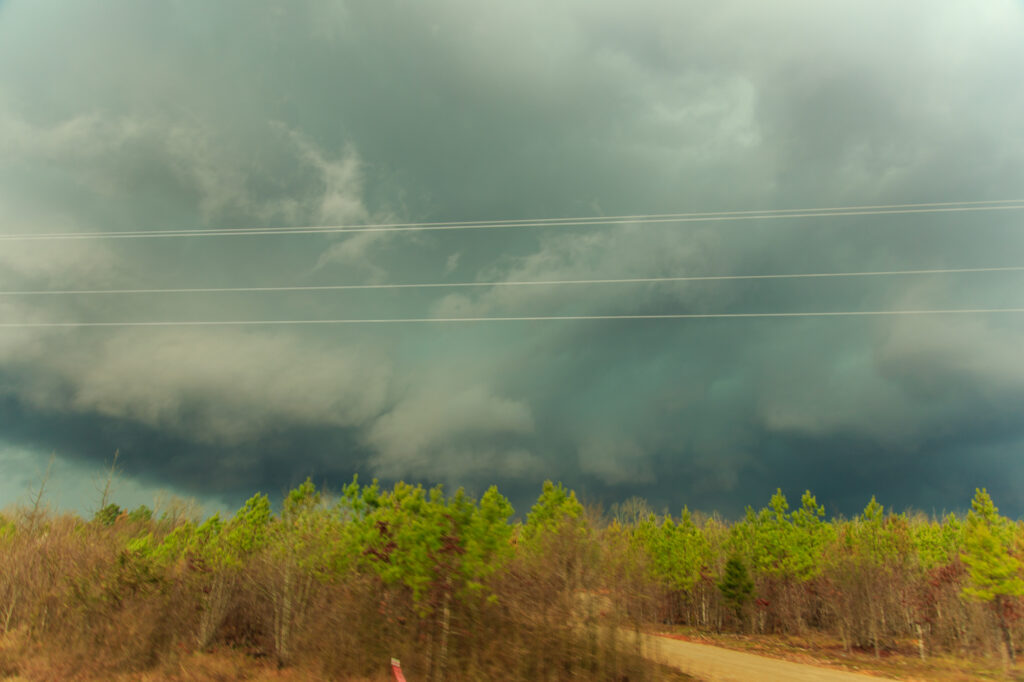 Near Jessieville, looking west