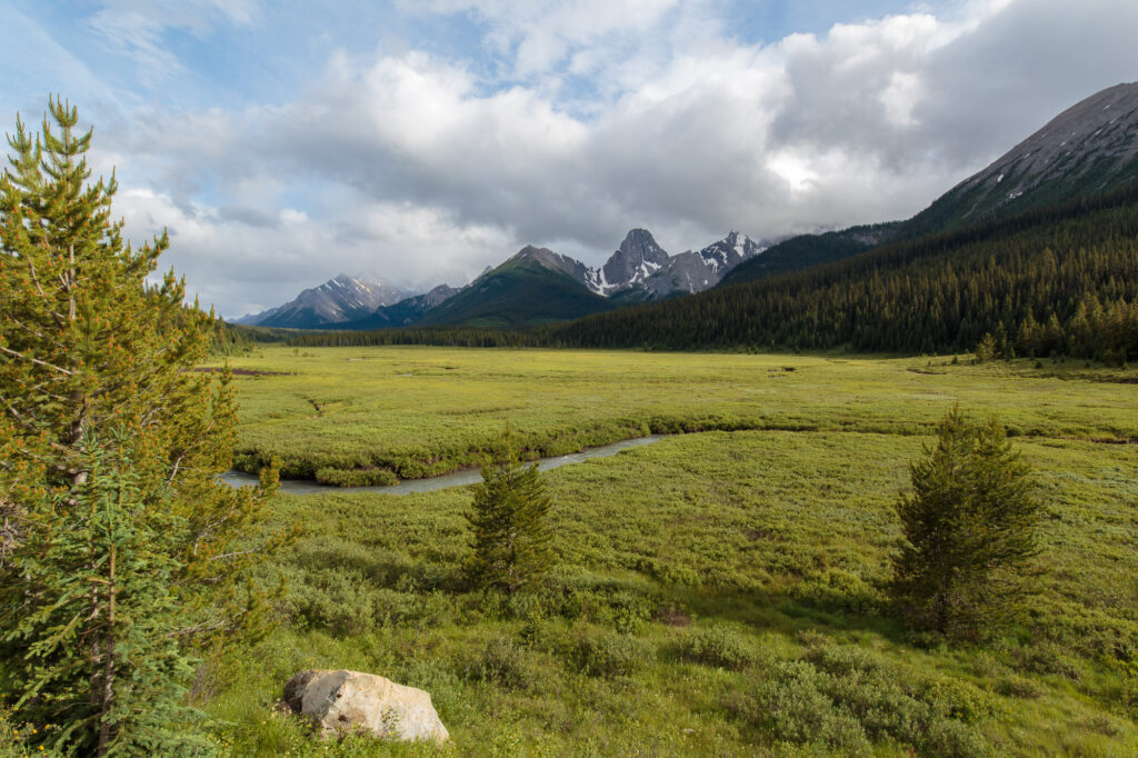 Mount Engadine Lodge area