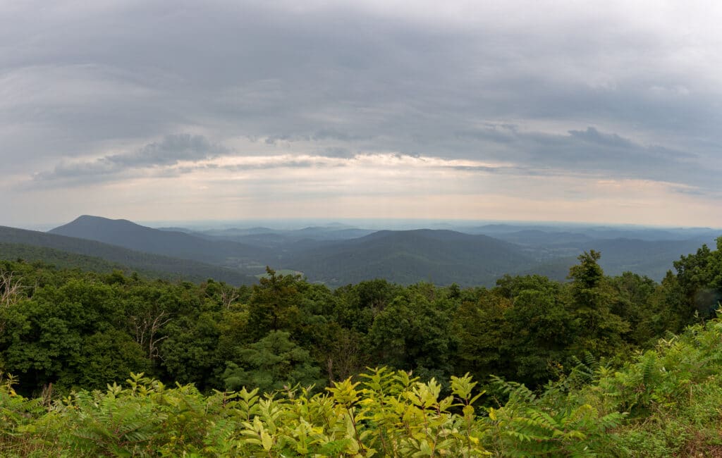 Skyline Drive