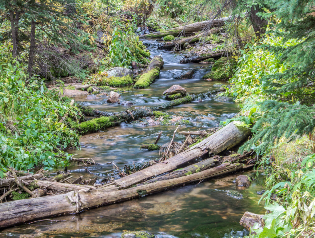 Hidden Valley river