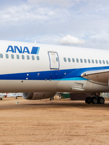 N787EX ANA Boeing 787 Dreamliner with some A-10s flying in the background