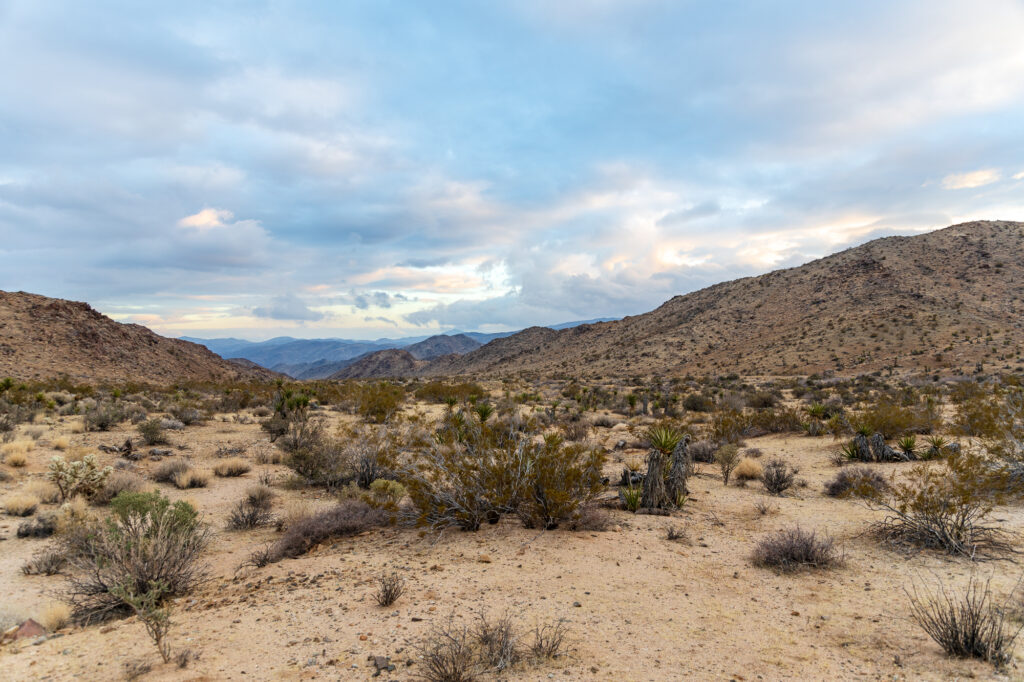 Wilson Canyon