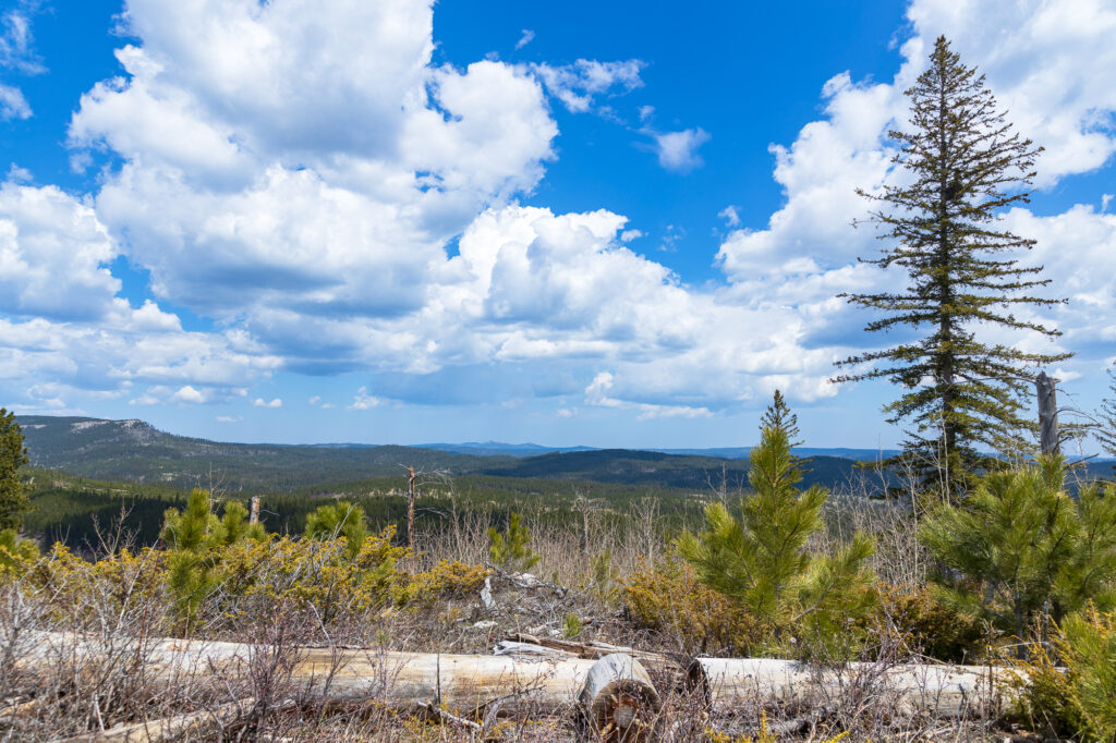 Overlooking the Black Hills