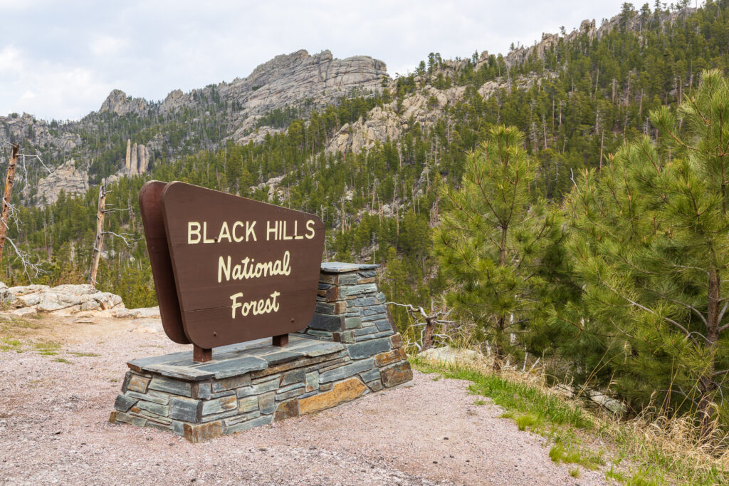 Black Hills National Forest