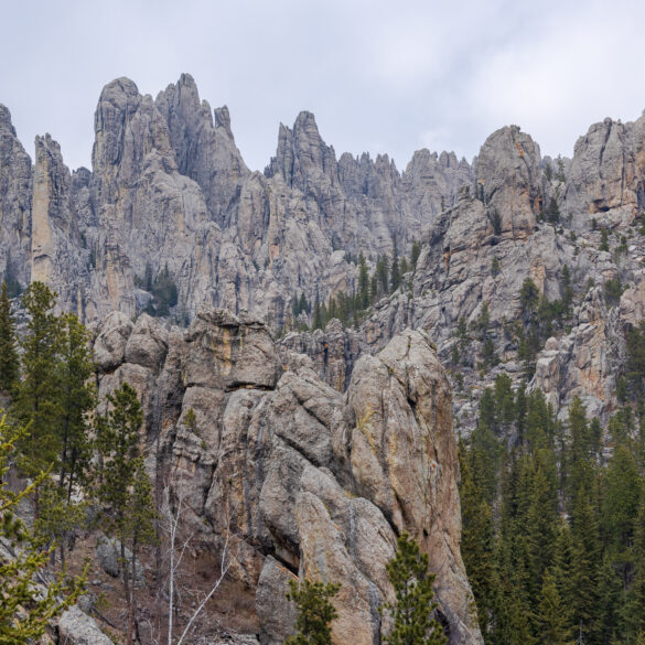 Cathedral Spires