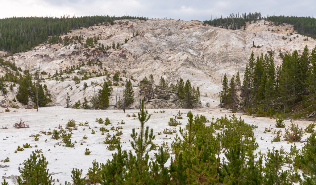 Roaring Mountain