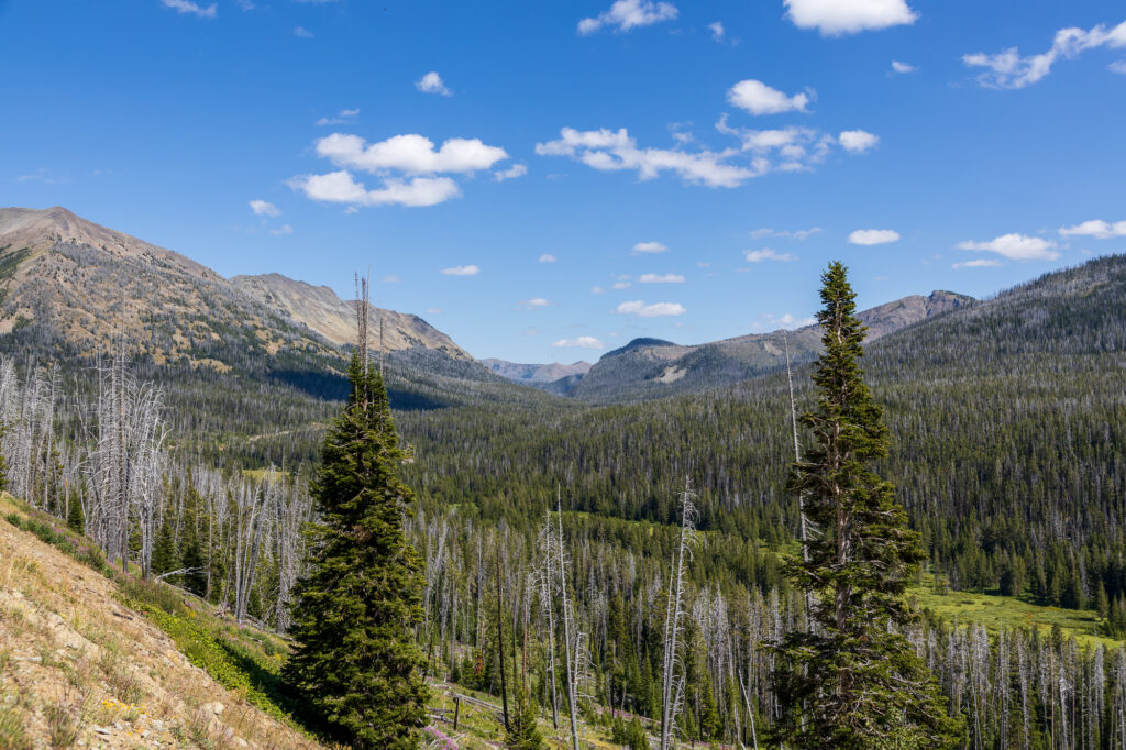 Yellowstone Mountains