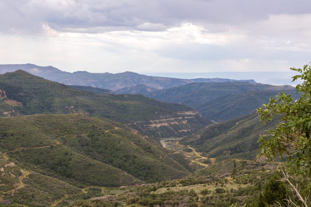 Douglas Pass